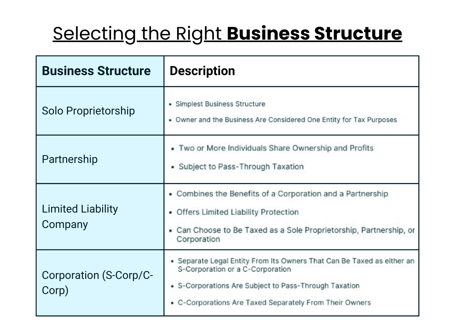  Business Structure